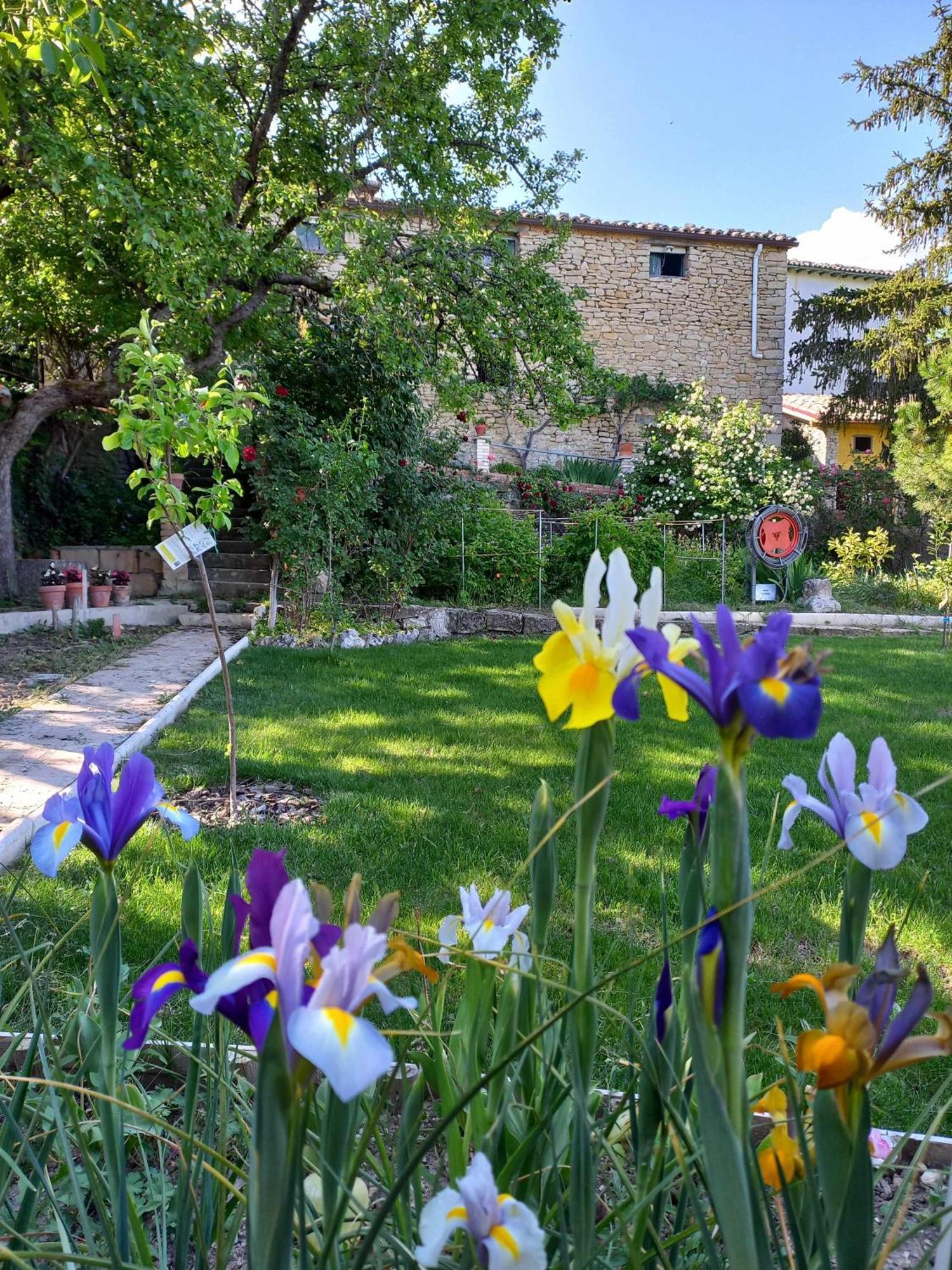 Azcona Casa Albaitar Con Piscina Y Sala De Juegos מראה חיצוני תמונה